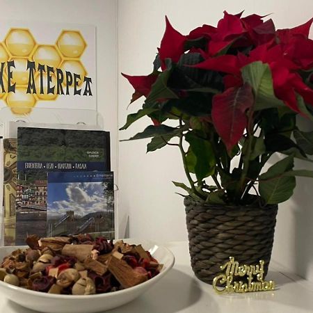 Erletxe Aterpea Hostel Лезо Екстериор снимка